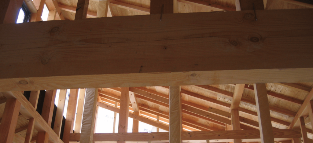 ヒノキ材とその他の木材の違い