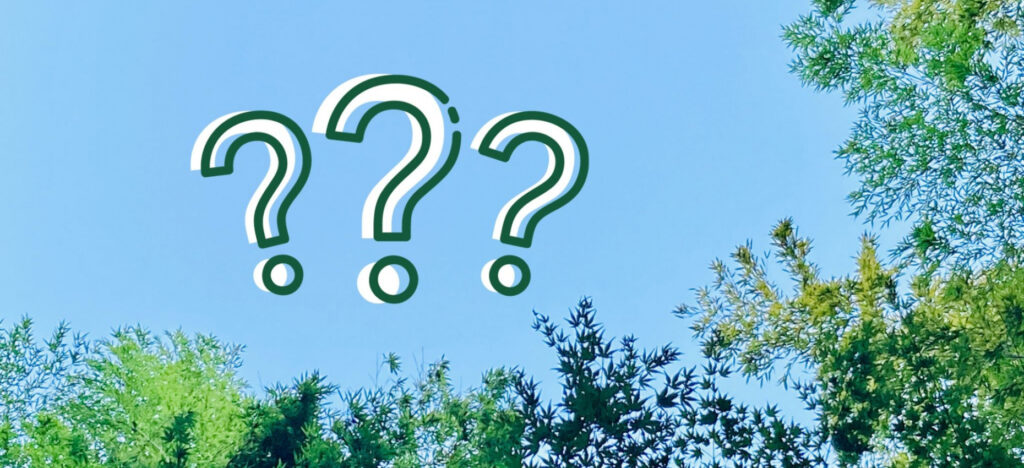 岡山 移住 支援金でよくある3つの質問